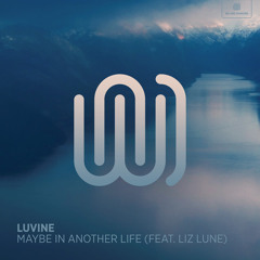 Maybe in Another Life (feat. LIZ LUNE)