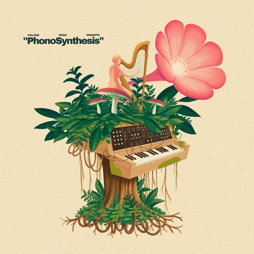 Amanda Whiting - Blossom