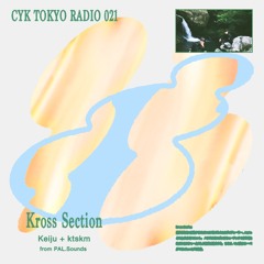 021 Kross Section (Keiju+ktskm)