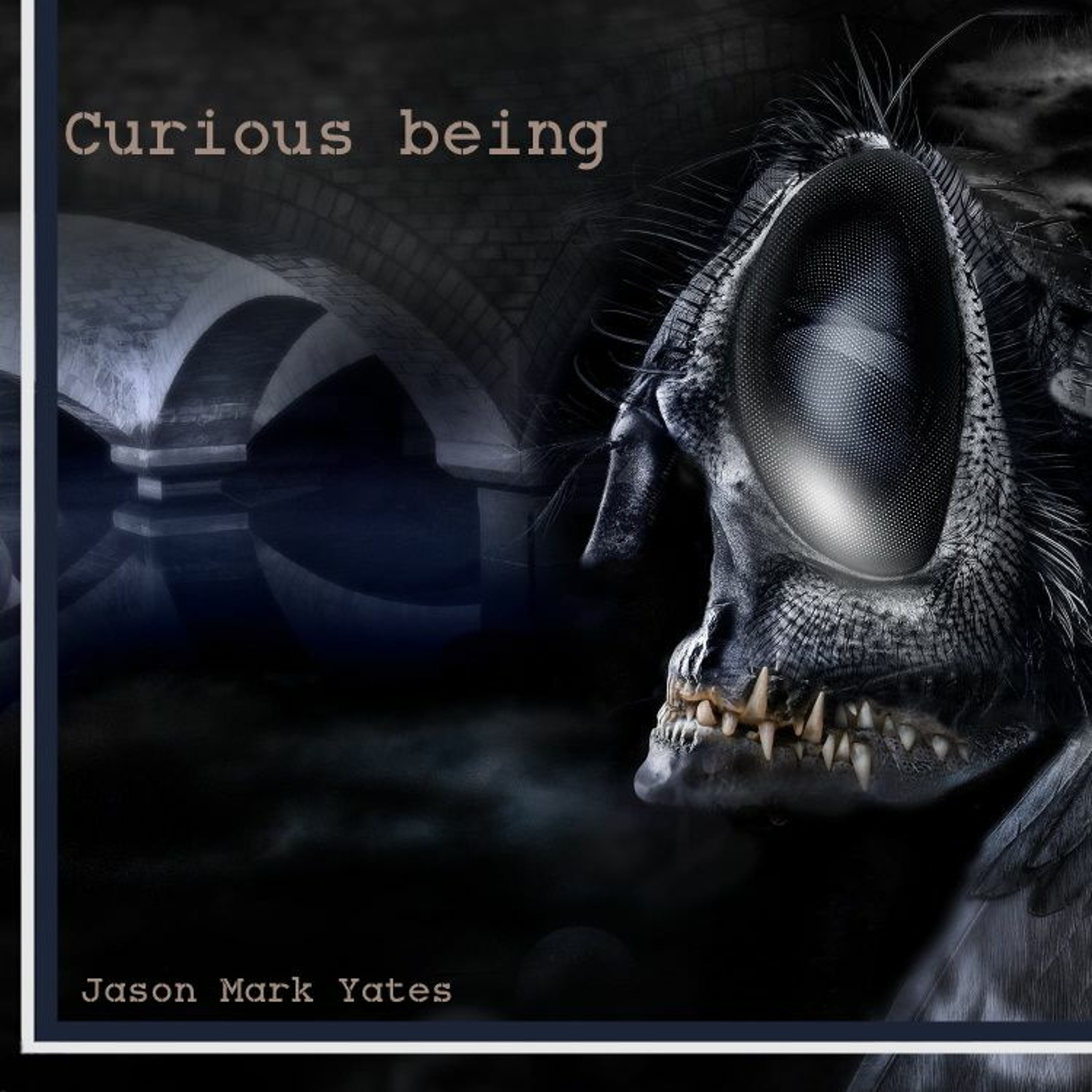Jason mark yates