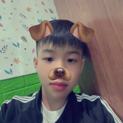 VIETMIX - CÚ CON CƯNG mix by Nhím Con