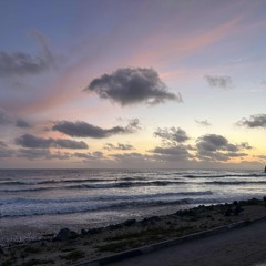 gtr olkecropdfusty x ricky