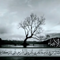 ‎⁨تلاوة عذبة يرق لها القلب من سورة الانبياء __ شريف مصطفى❤️⁩.