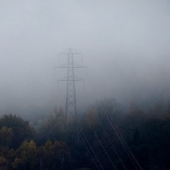 Blowin - 18 Aug 2024