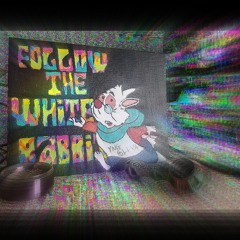 YNG SLLVN [LLYZ, YNGSLLVN] - Follow The White Rabbit