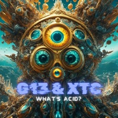 G13 & XTC - What's Acid?