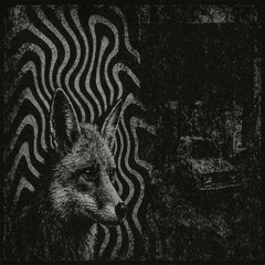 AxelK - Le Révolte Sonique [ACIDCORE]