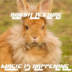 RABBIT TEXTURE MIH (feat. D'Artagnan Leon, Arturo Spirazones, Nicolas De Francesco, Joe Monco