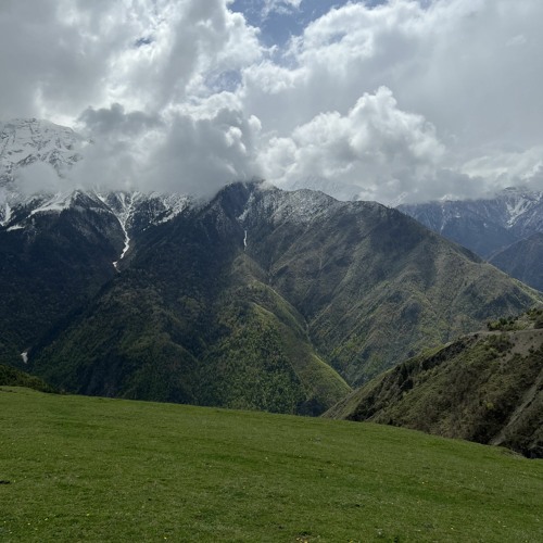 R.U.S b2b PEPEL- HOSTA