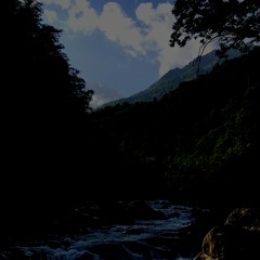 Viaggi Tribe 2