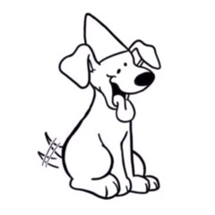 DUNCEDOG - AEROJUNGLE