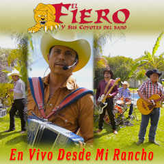 El Amor y El Dinero
