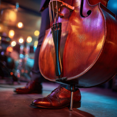 Creature of the night