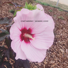 cruel summer acoustic (cover)