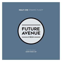 Hully Che - Dynamic Flight [Future Avenue]