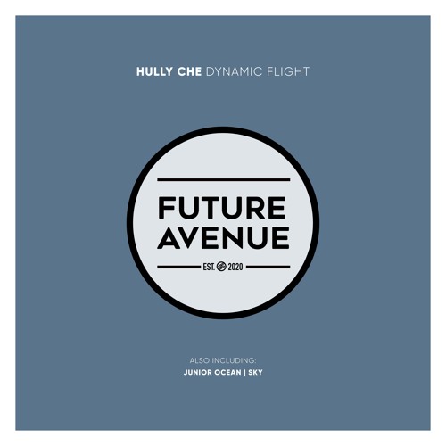 Hully Che - Dynamic Flight [Future Avenue]