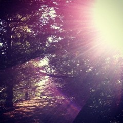 eardrummer x cranes – jwelset remix