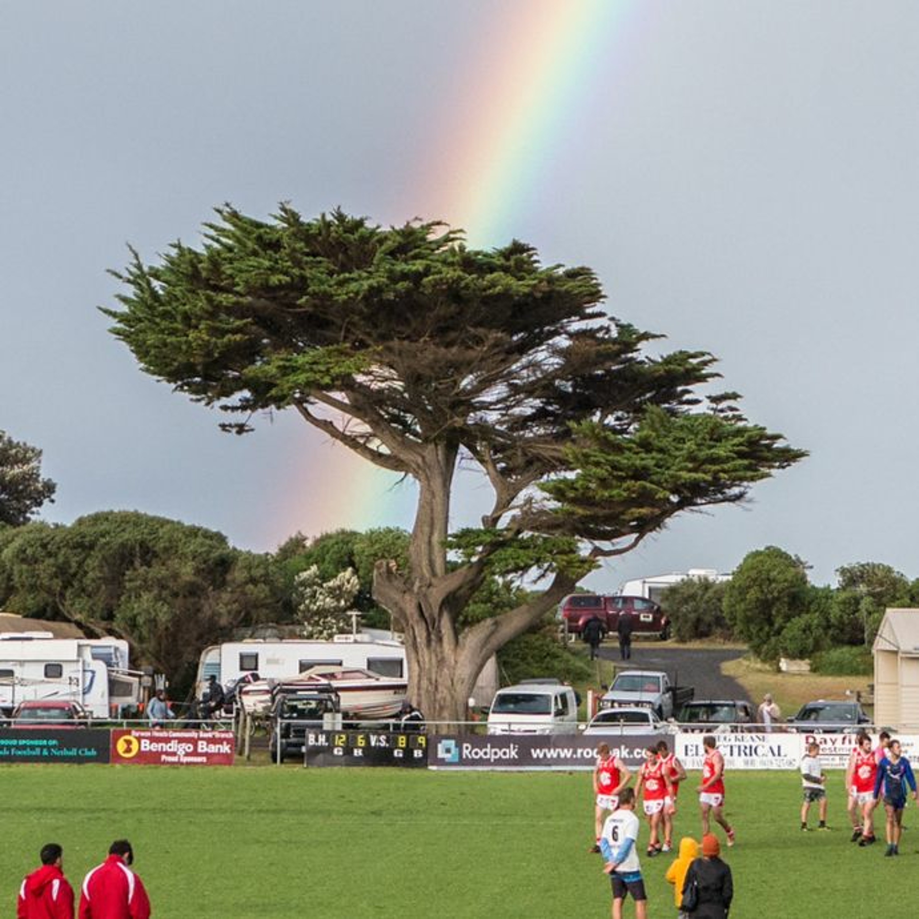 The Tree On The Wing History Podcast
