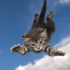 squad (prod. june coast)