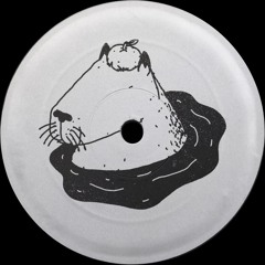 PREMIERE: Unknown Artist - Untitled 1 (Visible Mix) [Seguim Records]
