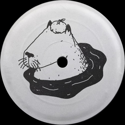 PREMIERE: Unknown Artist - Untitled 1 (Visible Mix) [Seguim Records]