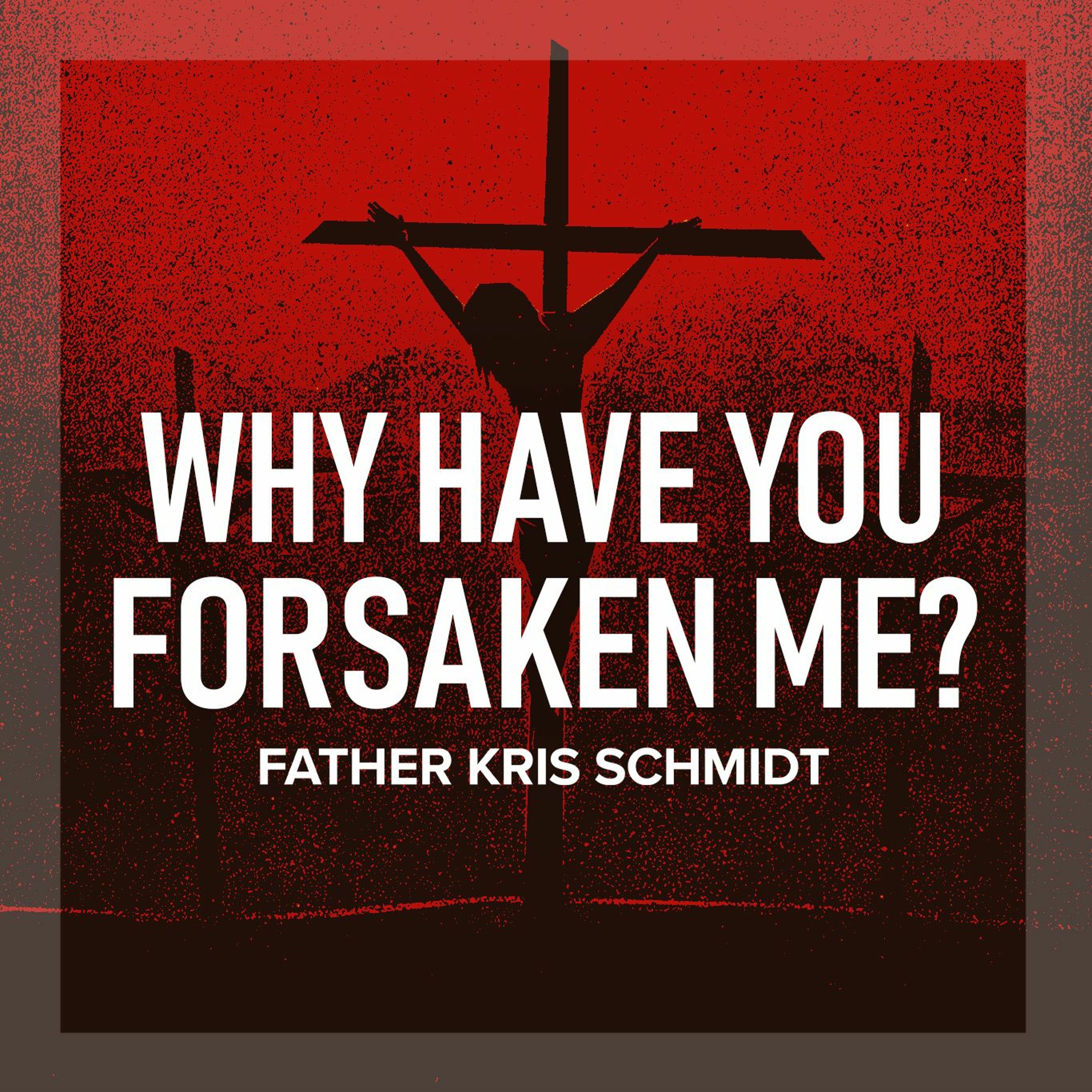 Fr. Kris Schmidt Homilies