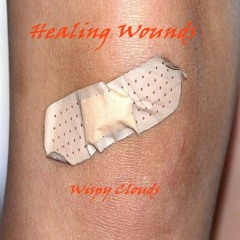 Healing Wounds - Matthias Ahrens