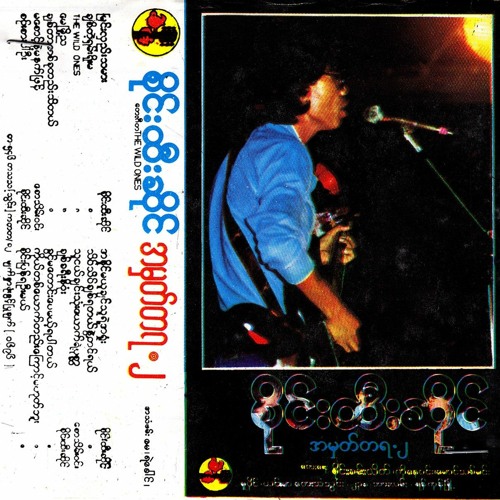 သိပ်သိပ်ချစ်ရတယ် နွဲ့တင်ရယ် - စိုင်းထီးဆိုင်