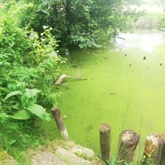 Anna y Bruno - Flor Das Aguas