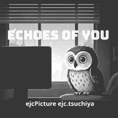 Echoes of You.mp3