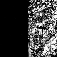 QUANTO PESA? - NICOLAJ SERJOTTI (DAM'S ILLEGAL REMIX)