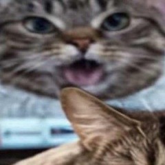 idk ok 47
