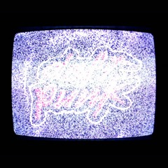 The Television Says So