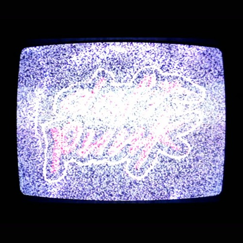 The Television Says So