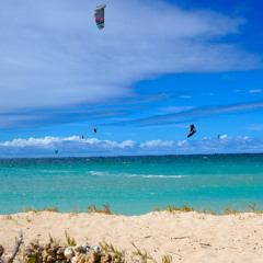 Take Me Higher ft. Diastrid