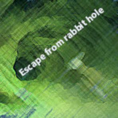 Escape from rabbit hole