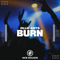 Ollie Ants - Burn
