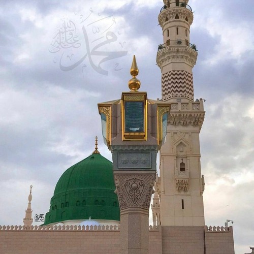 جهد المقل بصوت د. عامر بهجت