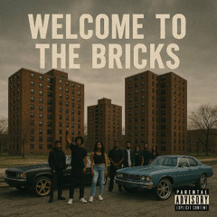 WELCOME TO THE BRICKS