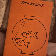 Fish Brains