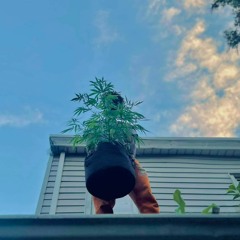 Unreleased Wake N Bake (WNB)