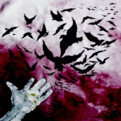 i can soar (jamesstfu)