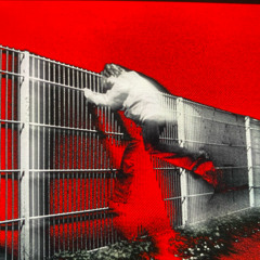 Feuermelder (feat. Isak Loppi & Paoline Magnus)