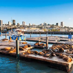 Review Special Price Pier 39 Attraction Pass