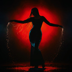 SHADOWS DANCE