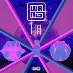 LIN³
