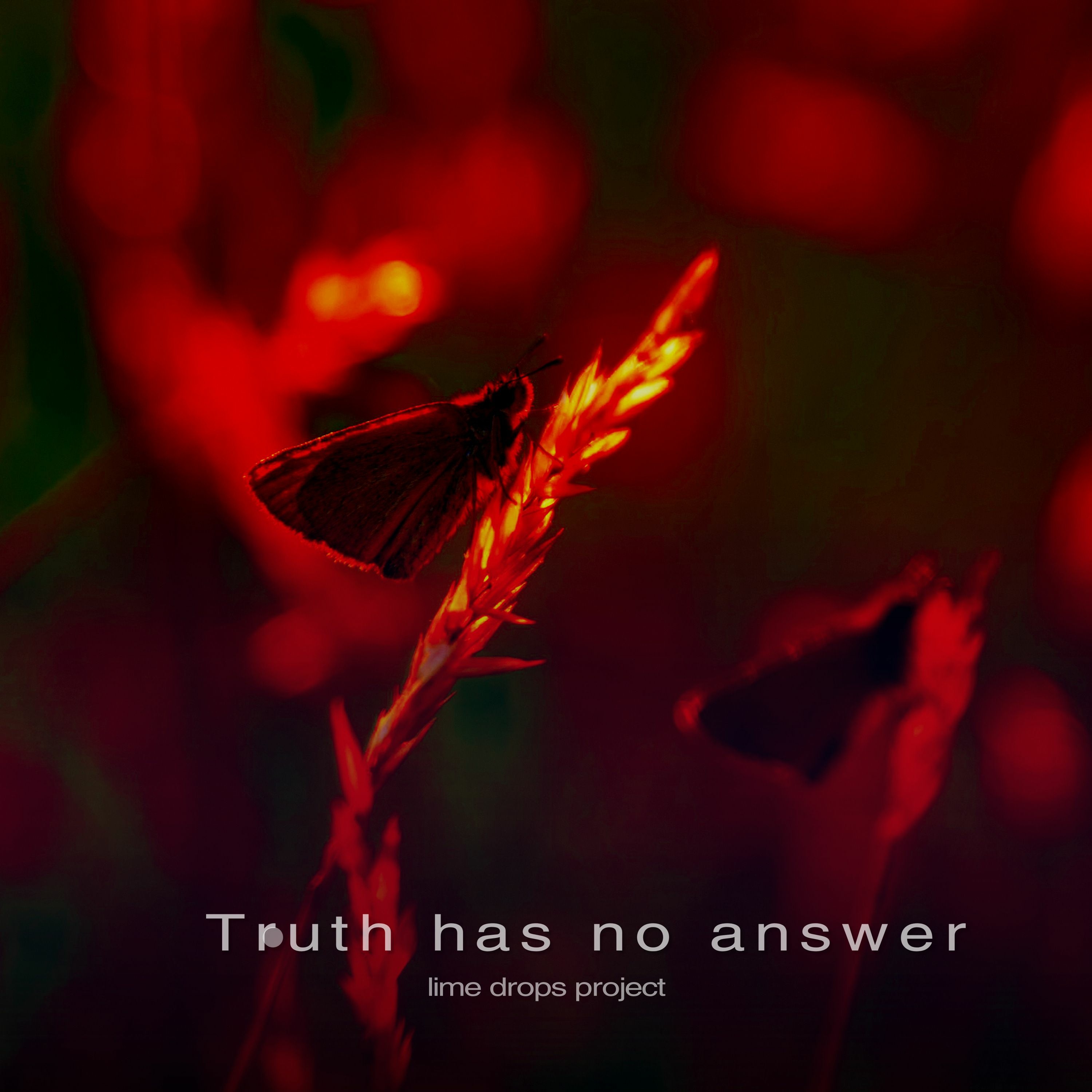 Truth Has No Answer