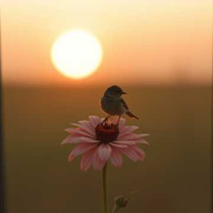 925 You're the reason I find the light