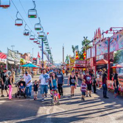 Best Things To Do In Phoenix October 2025 Tours Reviews