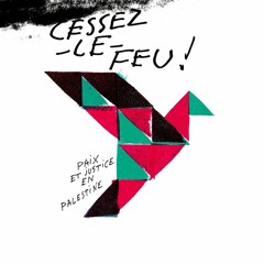 210, Graphic artist Sébastien Marchal speaks on Palestine solidarity designs in Paris